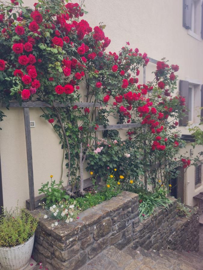Apartma Istra Zora Sečovlje Exterior foto