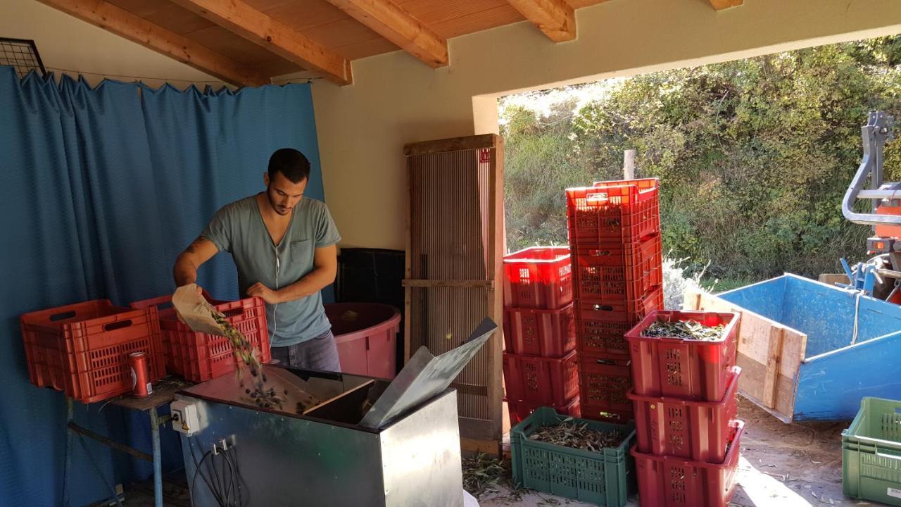 Apartma Istra Zora Sečovlje Exterior foto